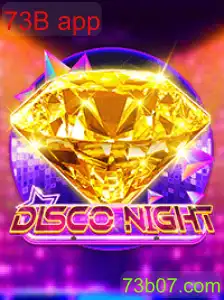 DiscoNight